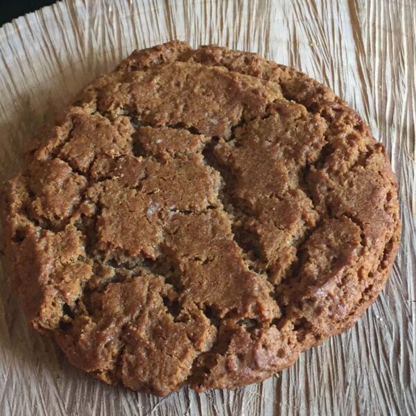 Molasses Ginger Cookie