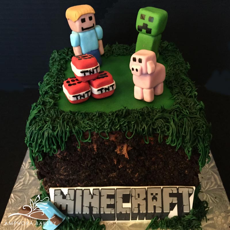 Minecraft Cake Decorating Photos